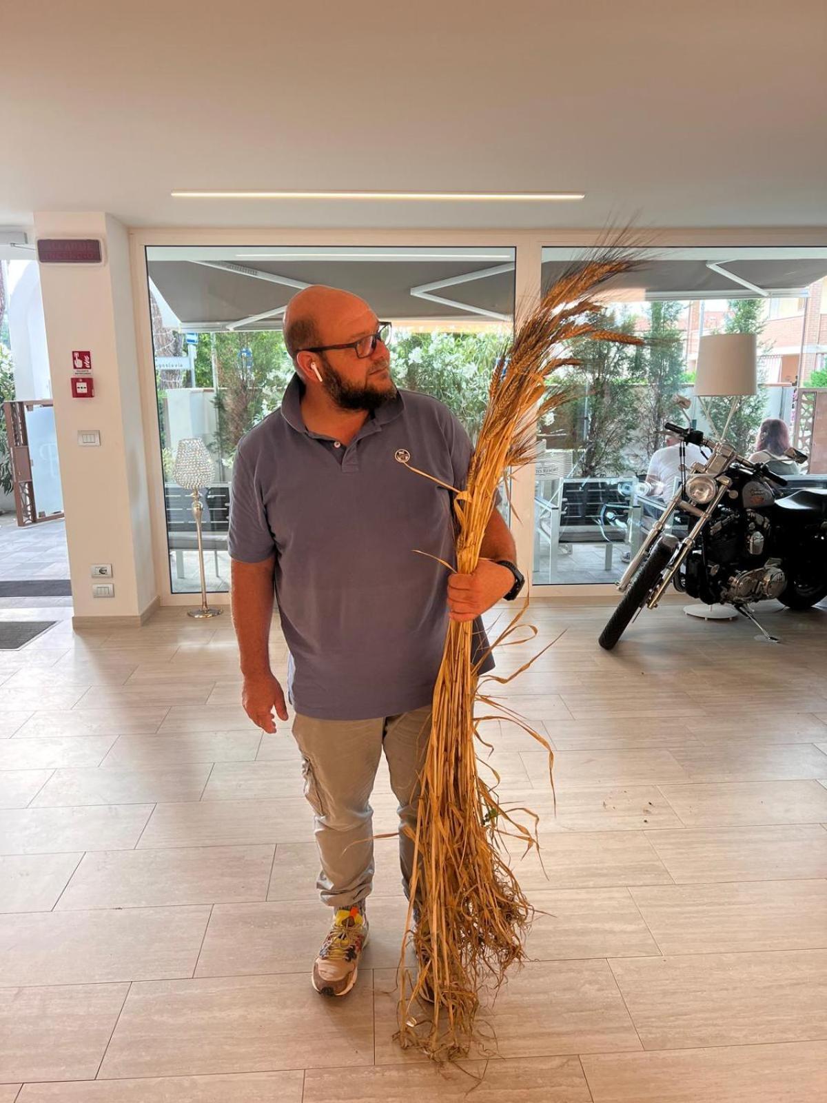 Pineto Resort מראה חיצוני תמונה